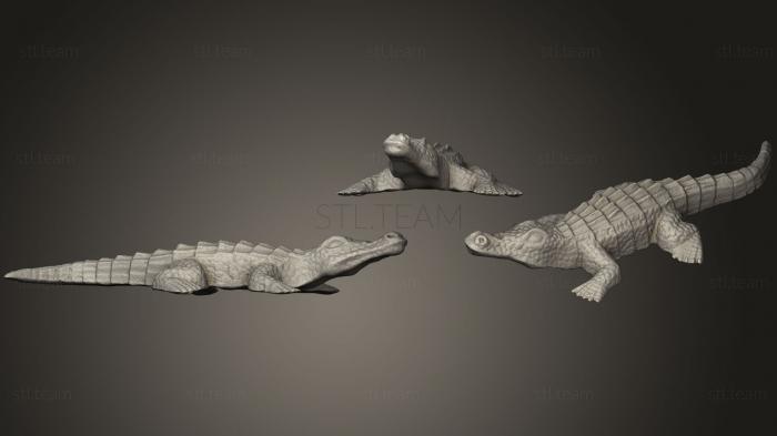 3D model Crocodile (STL)